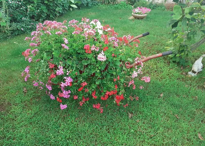 招待所 Stella