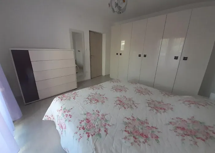 Stella 招待所 3*